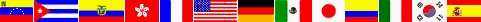 International Partners
